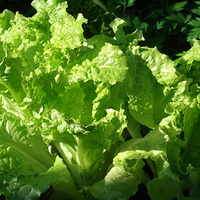 Universal Product Style