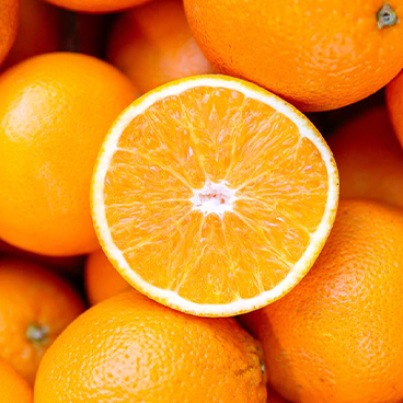 Universal Product Style