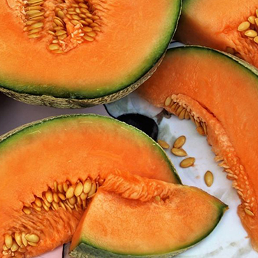 Universal Product Style