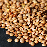 Universal Product Style